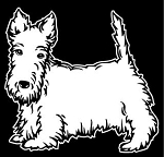 Scottish Terrier Decal Sticker